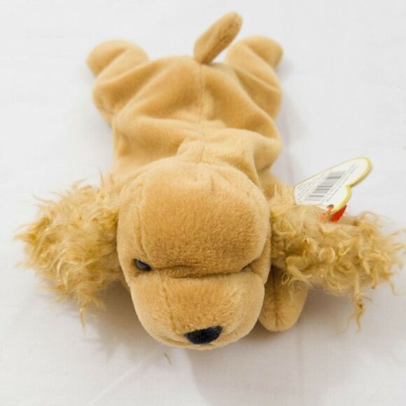 5th Generation Ty Spunky, Tag, Retired - Picture 1 of 7